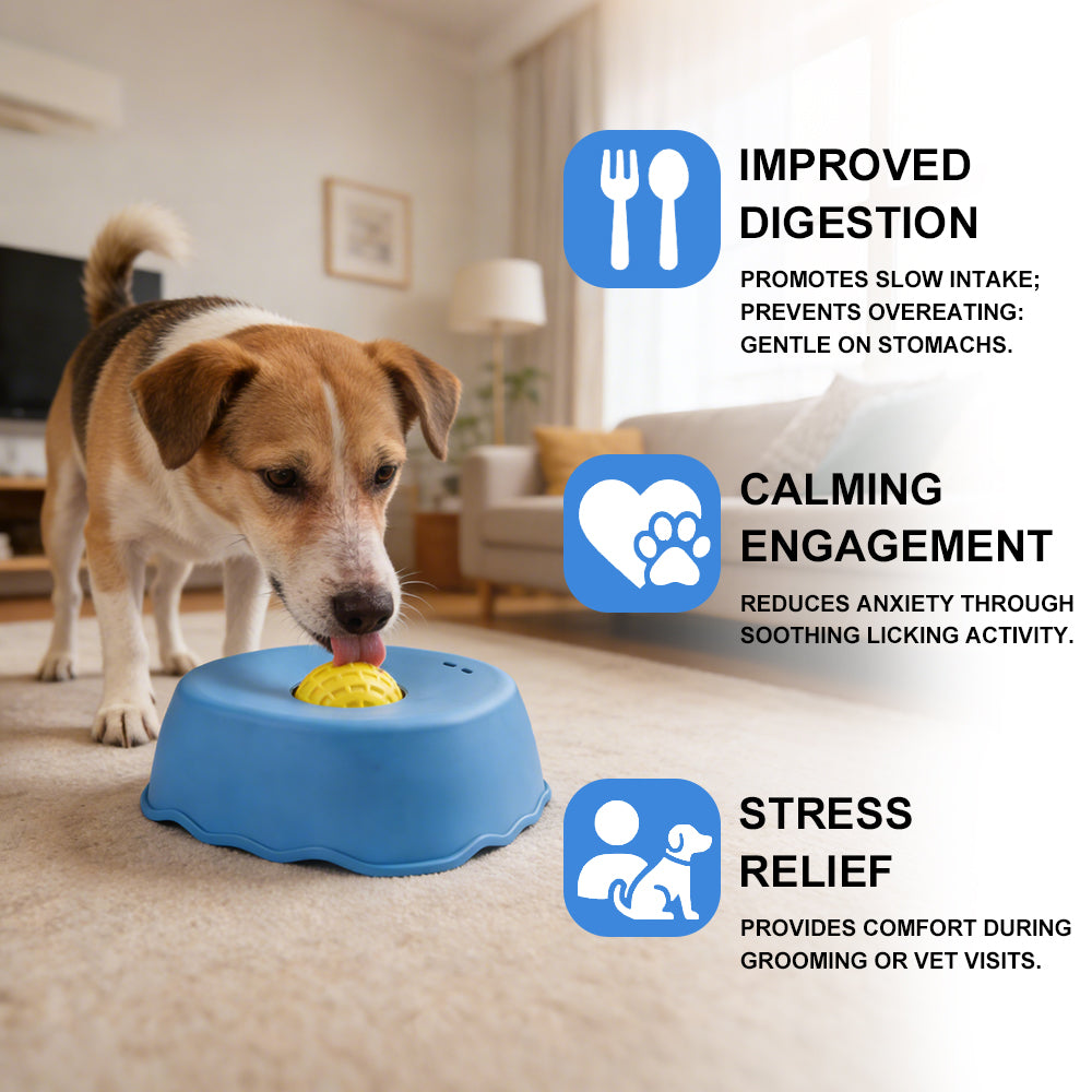 Slow feeder bowl for dogs