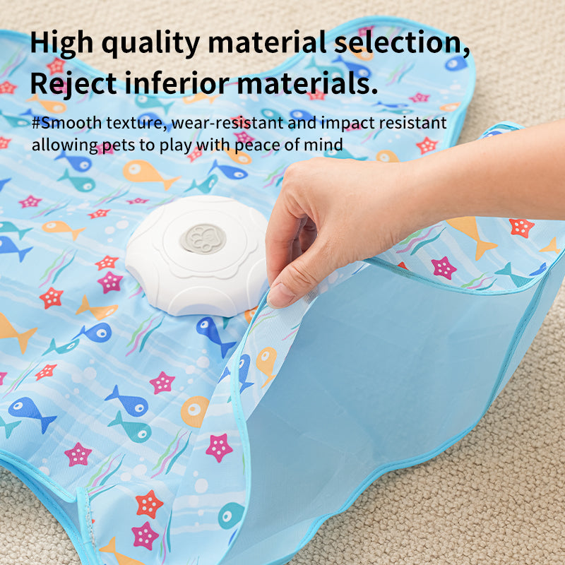 Interactive 2-in-1 Cat Toy