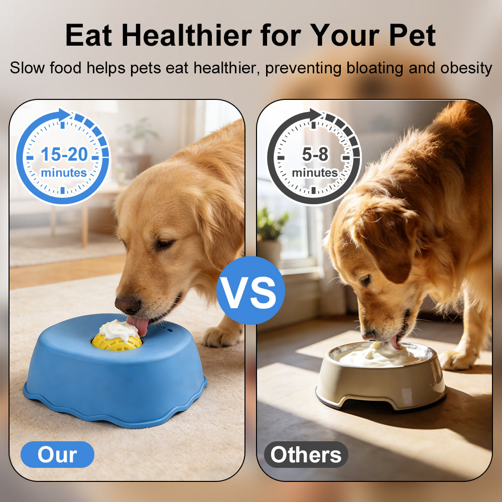 Slow feeder bowl for dogs