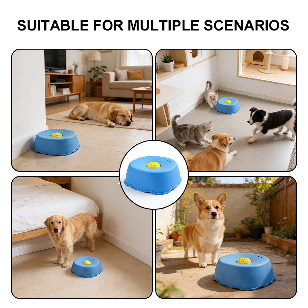 Slow feeder bowl for dogs