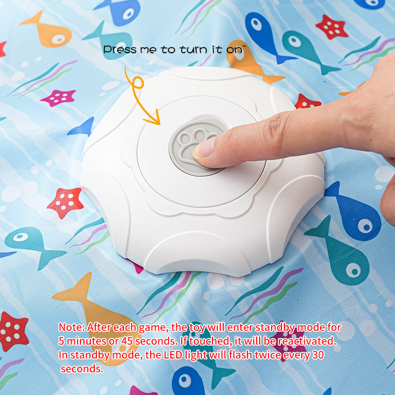 Interactive 2-in-1 Cat Toy